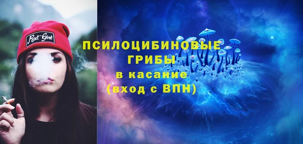 дурь Алексеевка